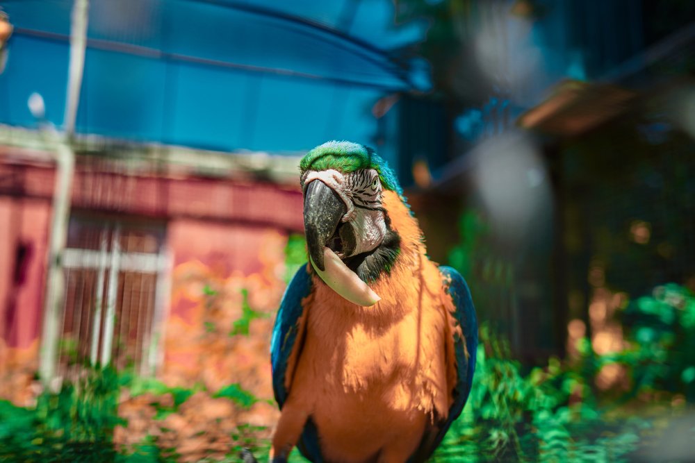 Photograph by Астафьев Владимир