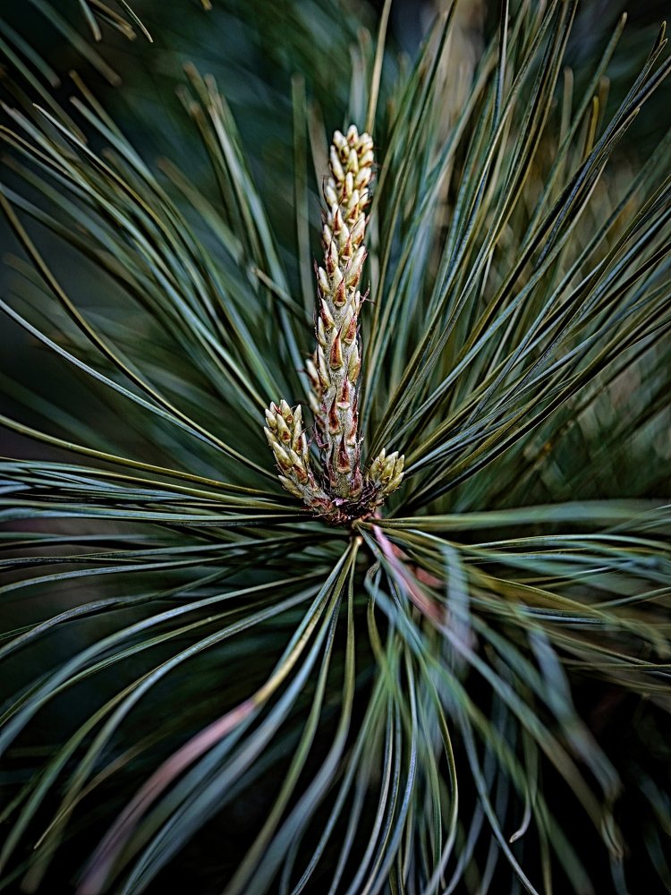 Photograph by Виктор Егоров