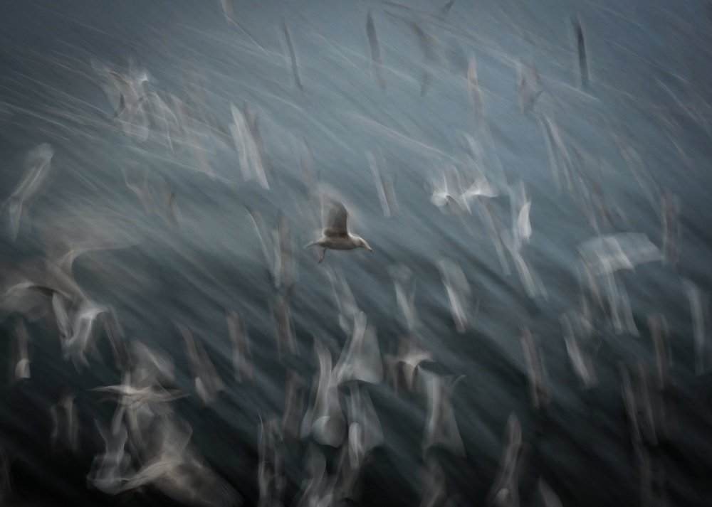 Photograph by Małgorzata Szura Piwnik