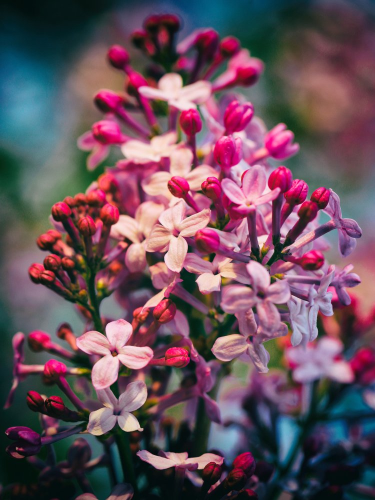 Photograph by Виктор Егоров