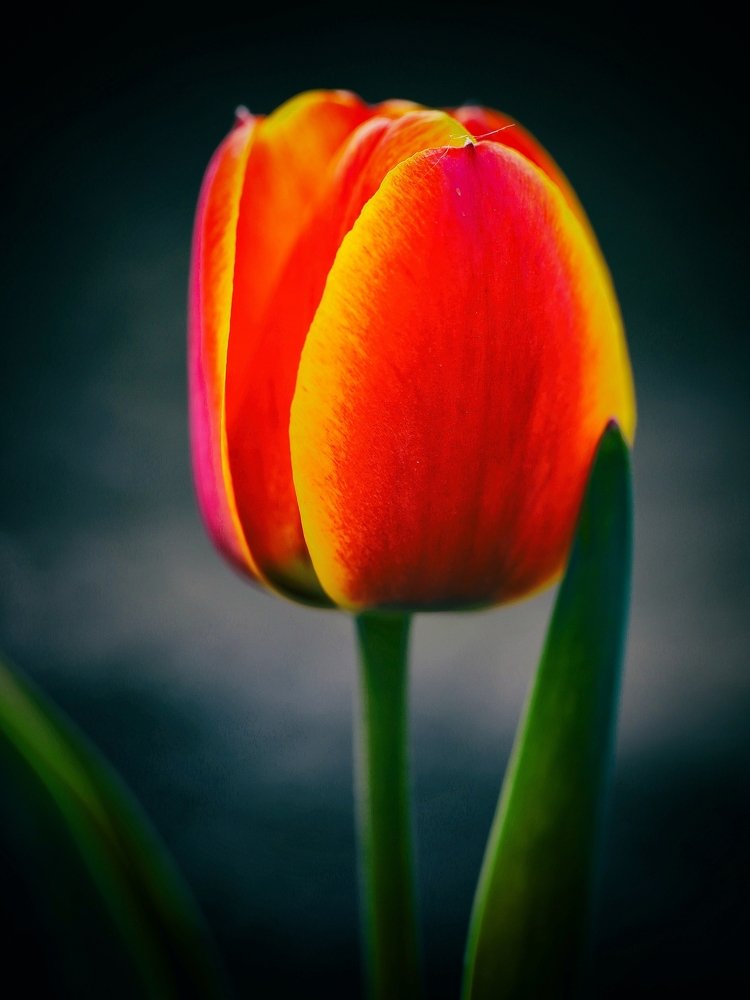 Photograph by Виктор Егоров