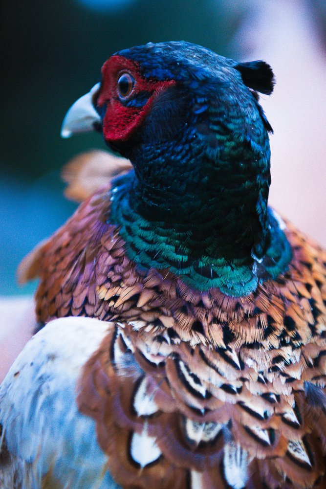 Photograph by Людмила Кузьменко