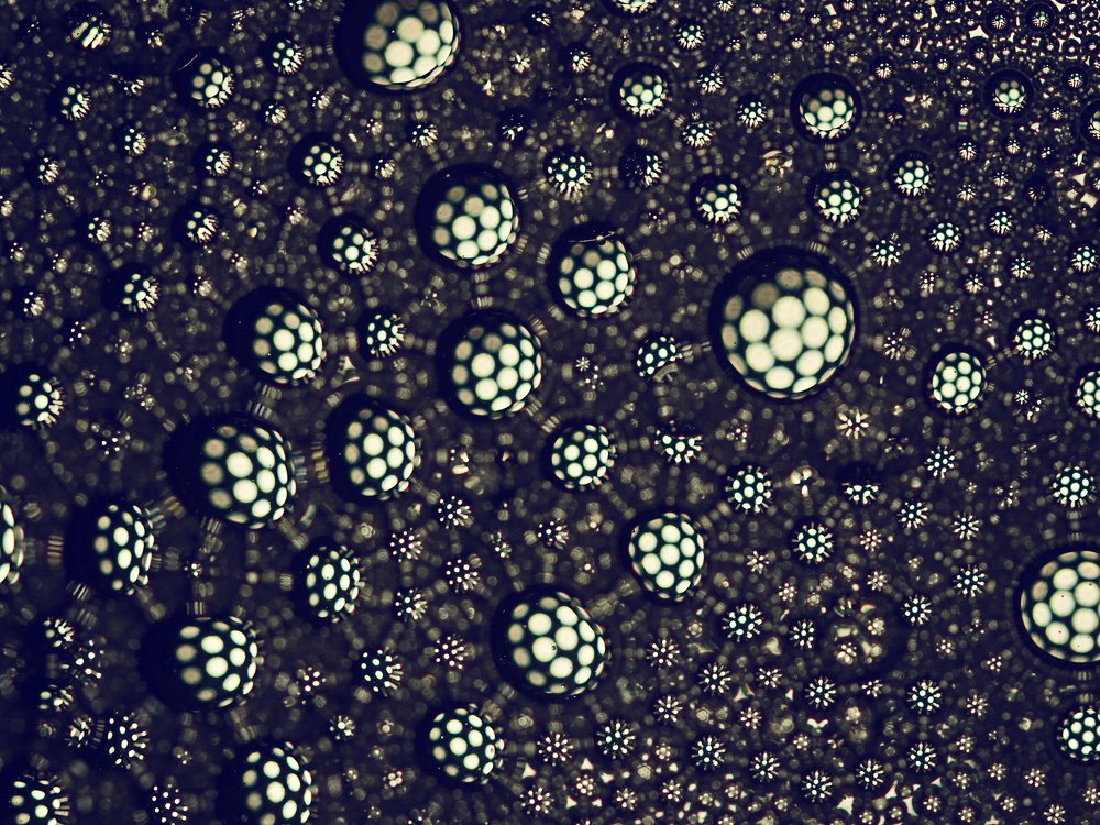 Photograph by Михаил Штенберг