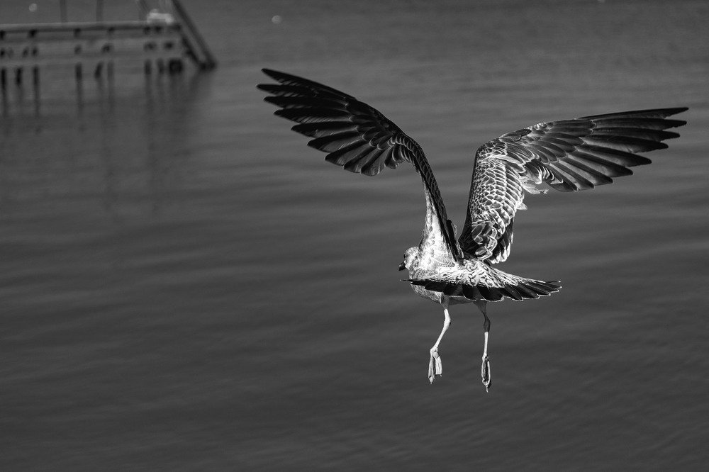 Photograph by Демьян Лопатов