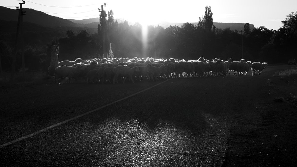 Photograph by Семенюк Василий