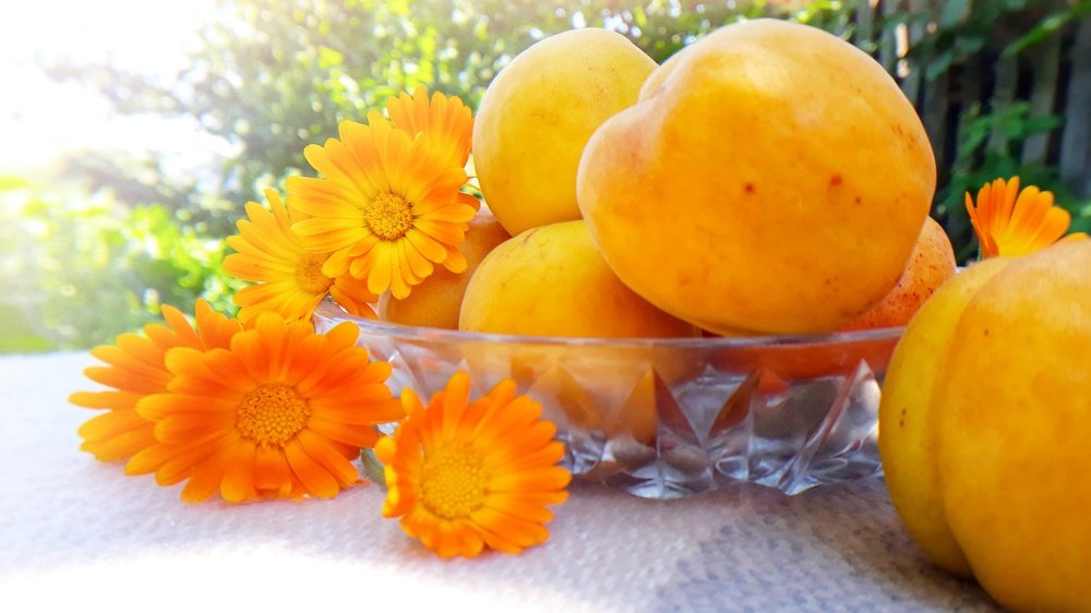 Photograph by Кристина Шляхова