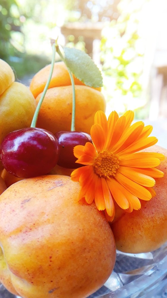 Photograph by Кристина Шляхова