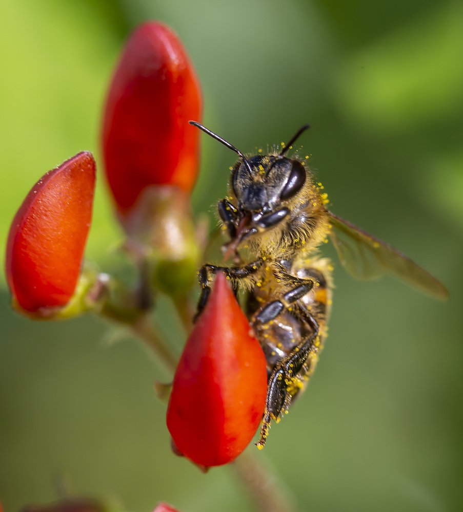 Photograph by Борис Платицин