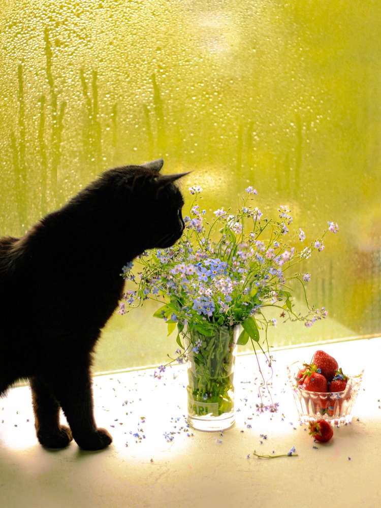 Photograph by Ольга Резникова