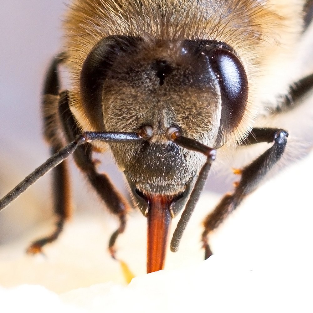 Photograph by Карякин Александр