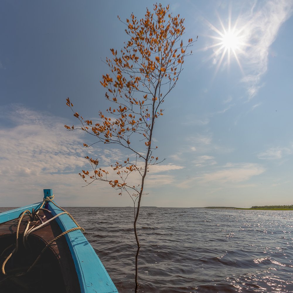 Photograph by Ольга Мурашева