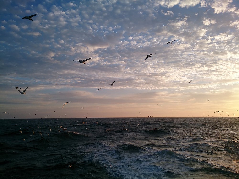 Photograph by Ольга Мурашева