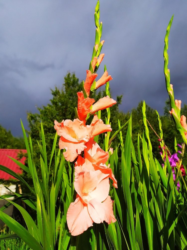 Photograph by Алёна Монахова