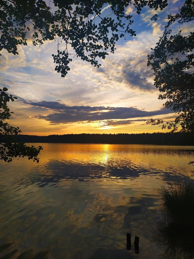 Photograph by Алёна Монахова