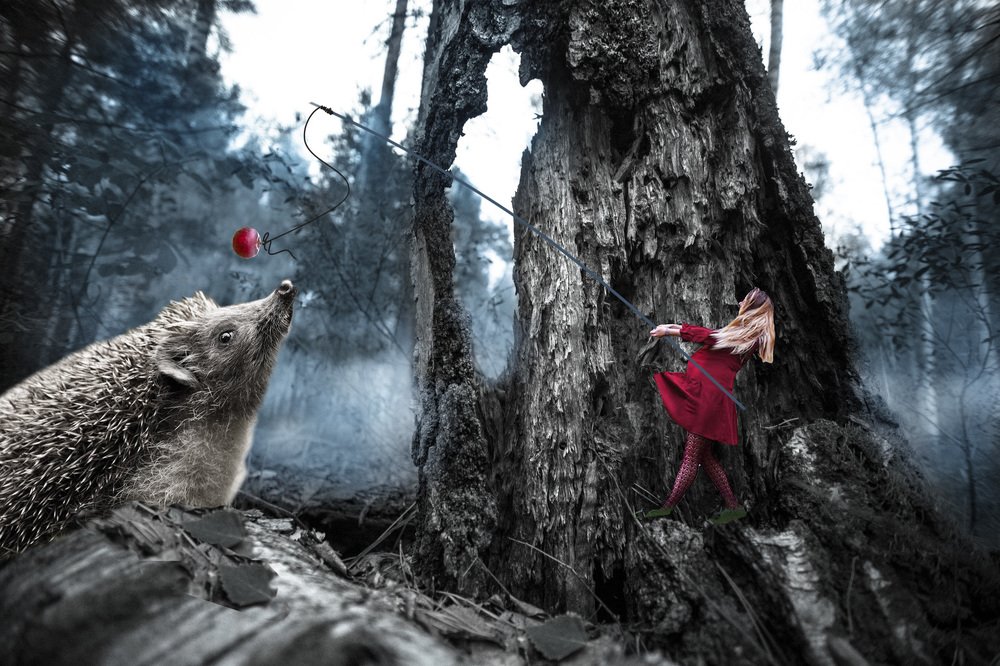 Photograph by Владимир Головин