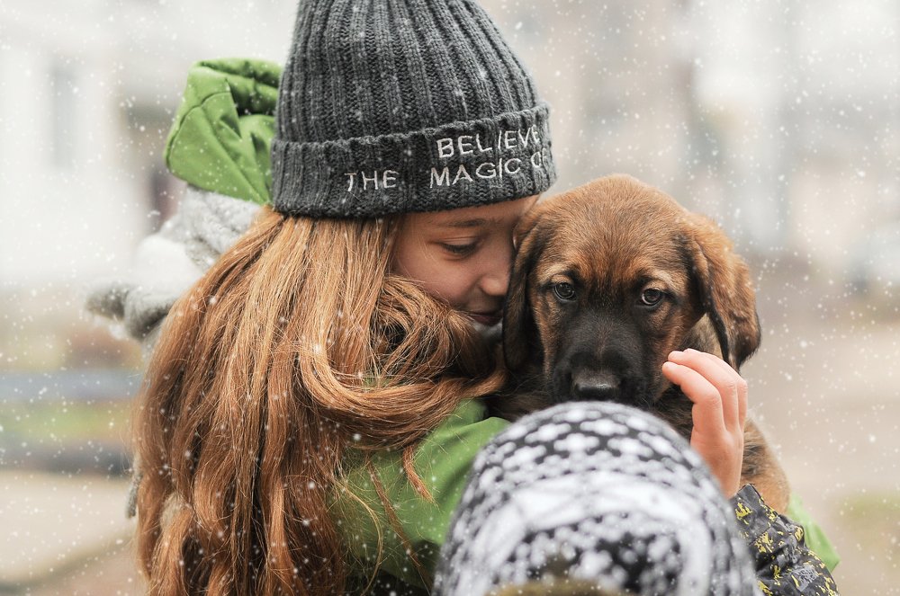 Добрый друг