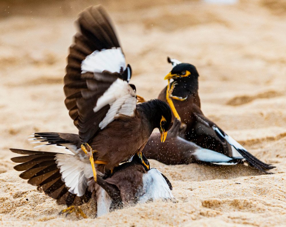 Photograph by ИРЕНА Федорова