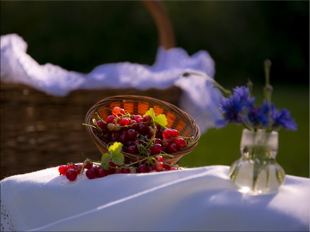 Photograph by Liudmila Drake