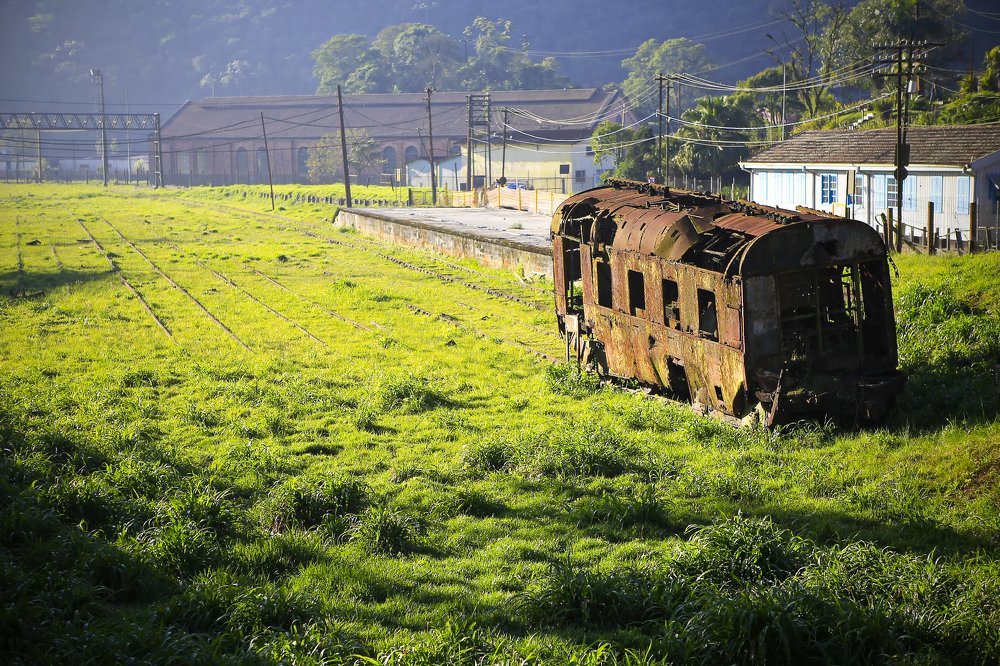 Фотография автора Orlando Junior
