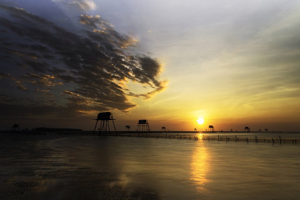 dragon adoring the sun