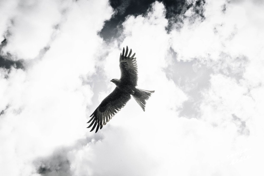 Где то над Танзанией.