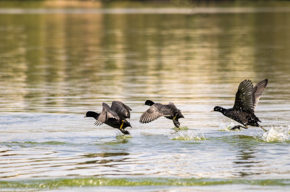 Photograph by Дмитрий Тимин