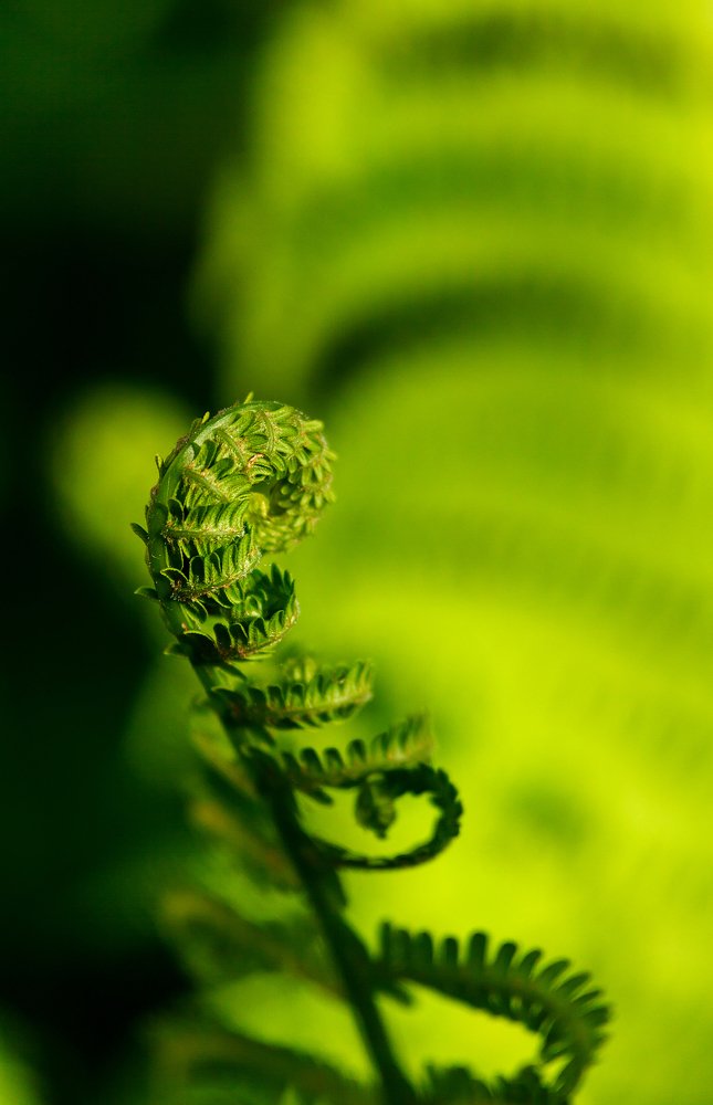 Photograph by Андрей