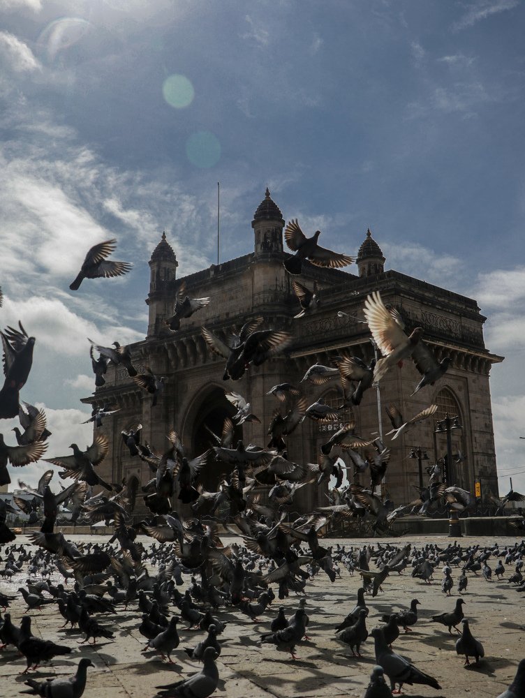 Photograph by Shalaka Ghagare