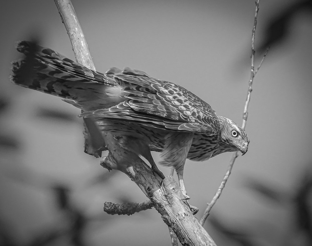 Photograph by Виталий Бокиев