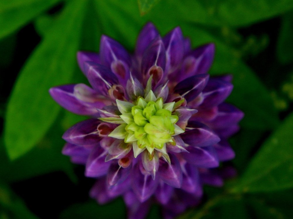 Photograph by Никитина Анна