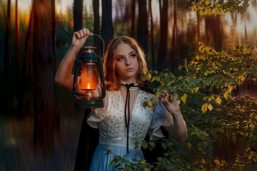 Путь через сказочный лес. Ночное приключение