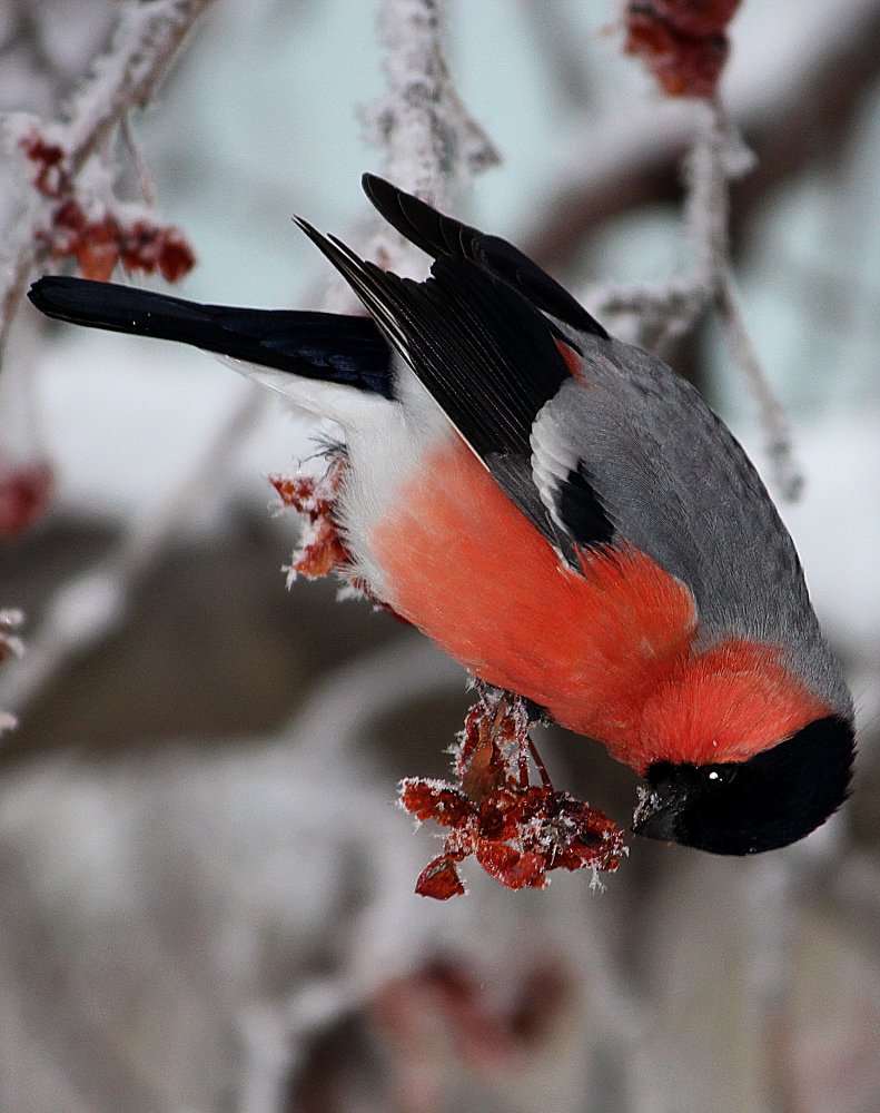 Photograph by Зоя Быкова