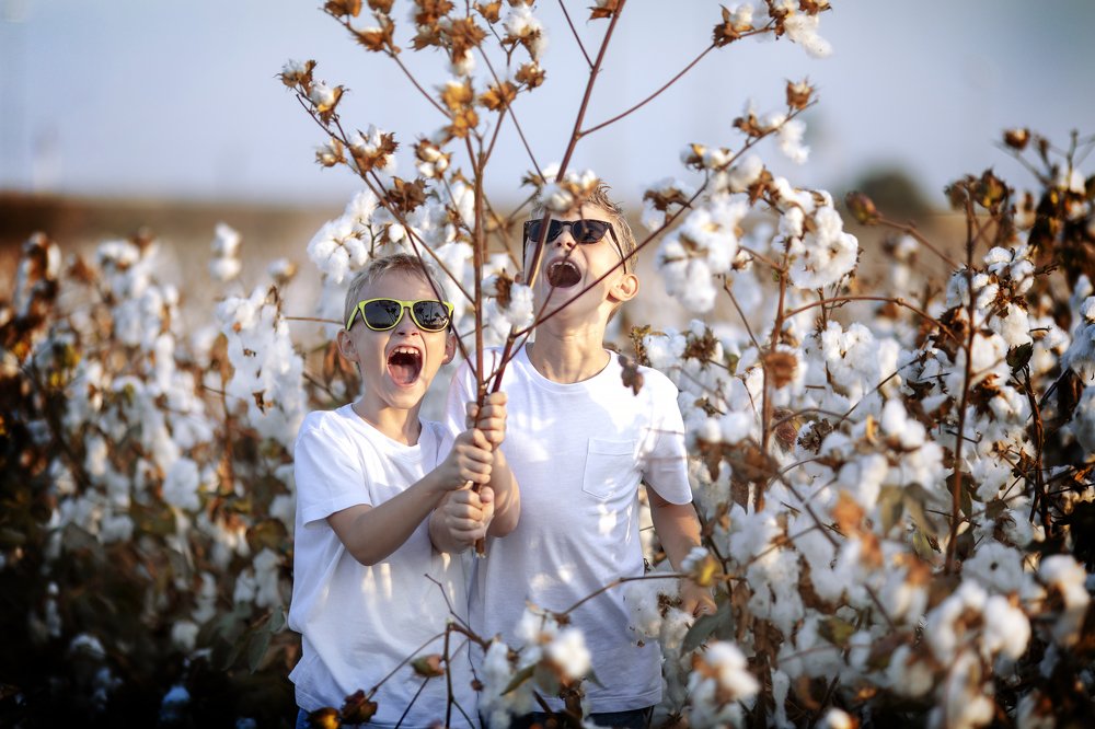 Photograph by Alona Shulman