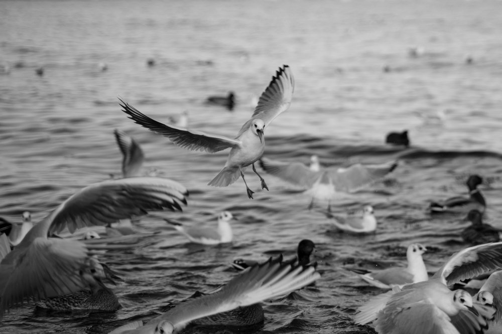 Photograph by Юлия Шумляева