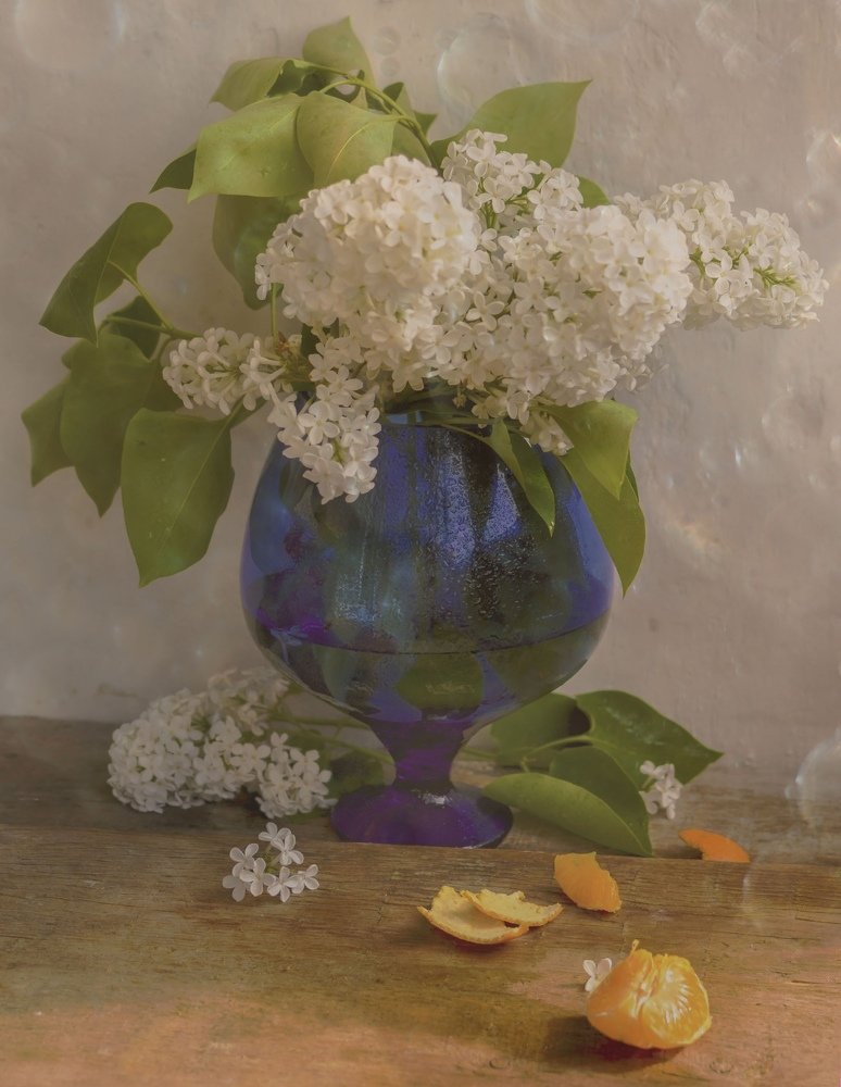 Photograph by Юлия Сергеева