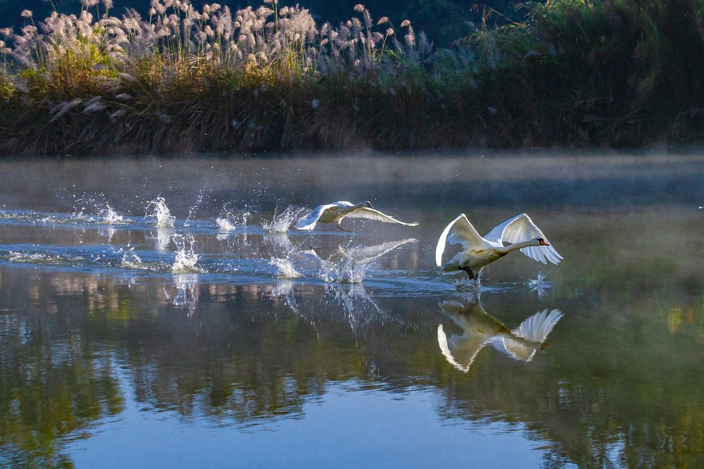 Photograph by Phyo Moe