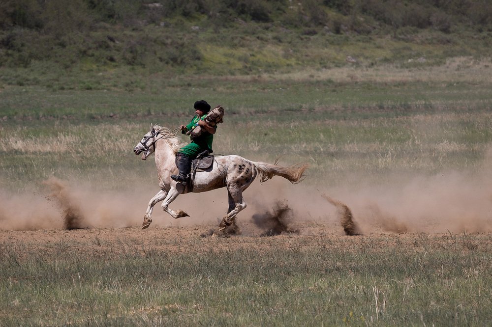 Photograph by Алексей Егорычев