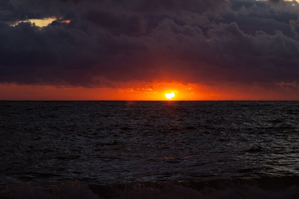 Photograph by Алексей Егорычев