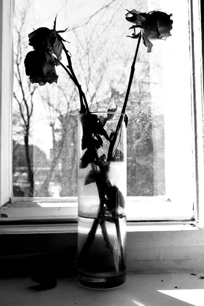 На белом холодном окне