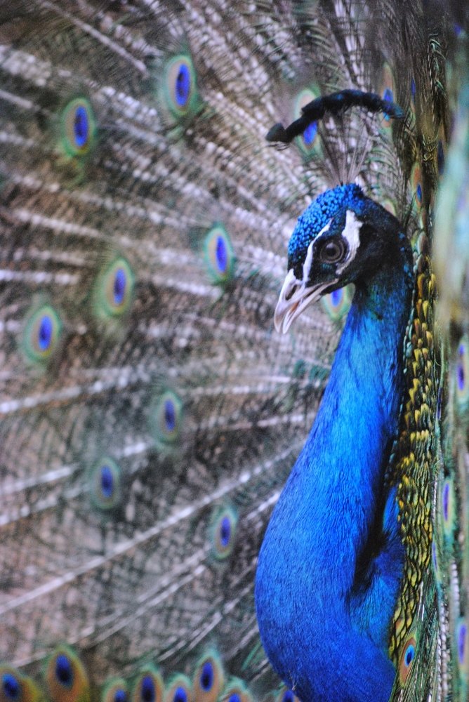 Photograph by Алина