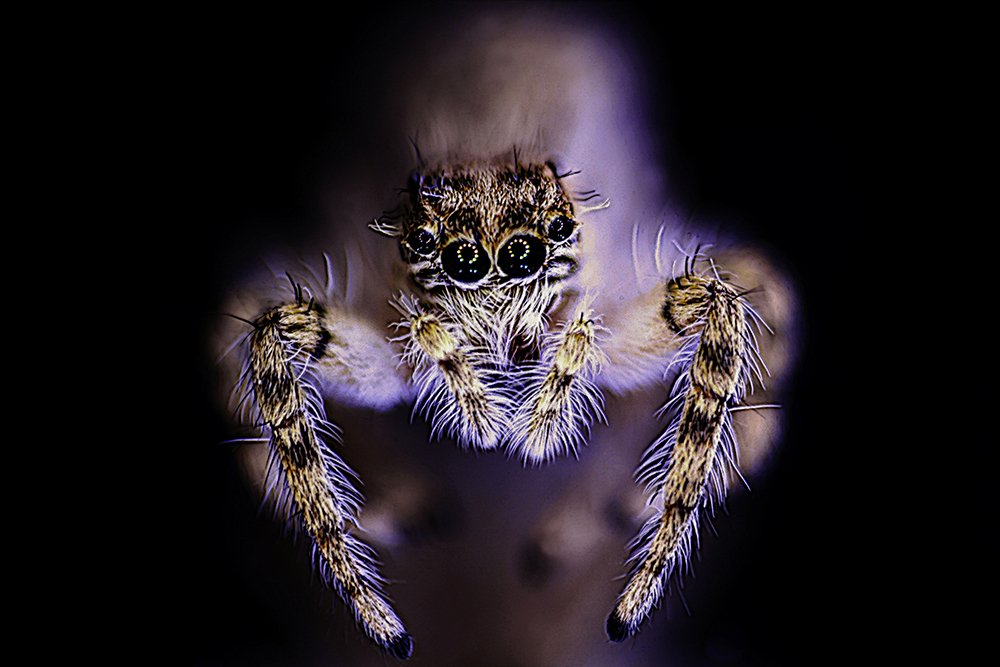 Photograph by Siamak Sabet