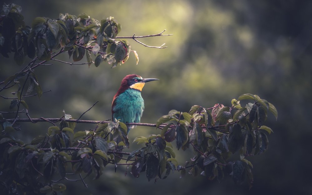 После трудов праведных...