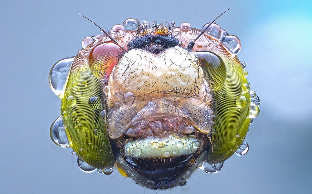 Photograph by Иван Радьков