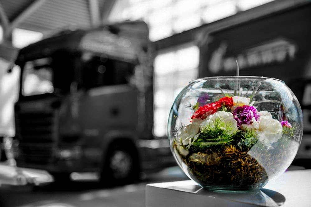 Photograph by DAMOUN POURNEMATI