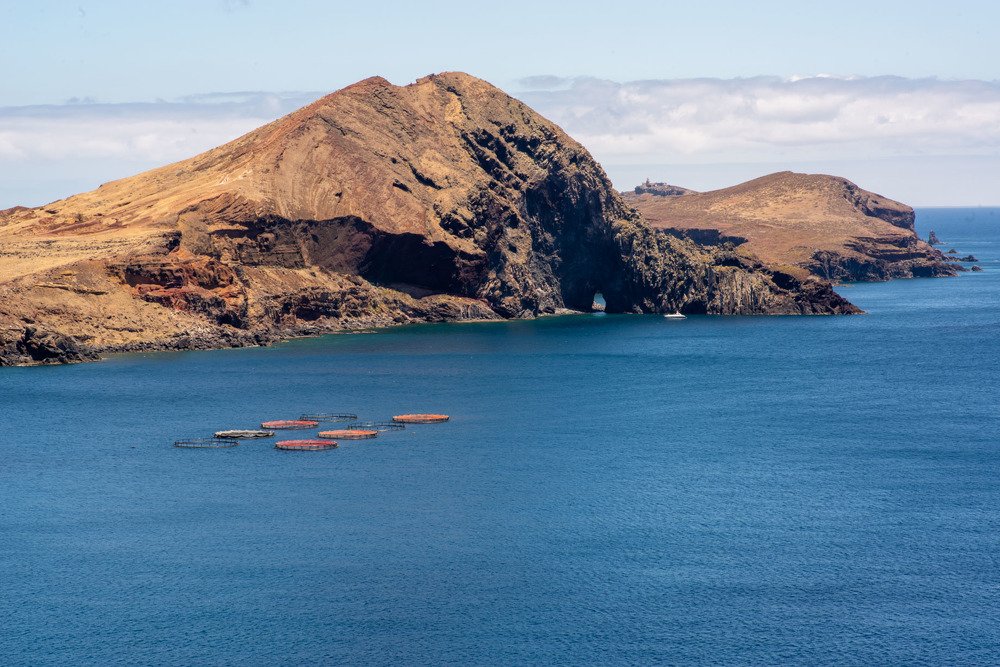 Photograph by Владимир Фирсов