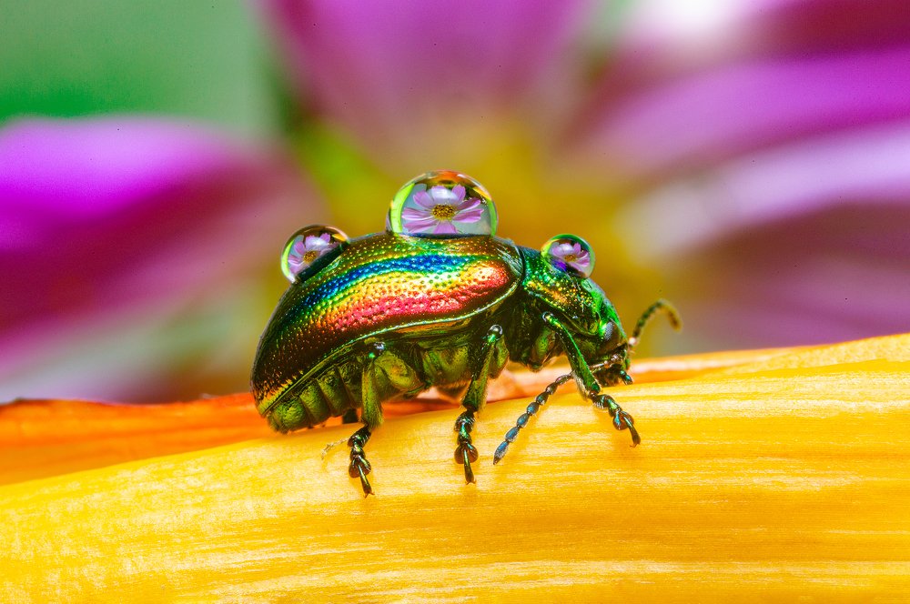 Photograph by Иван Радьков