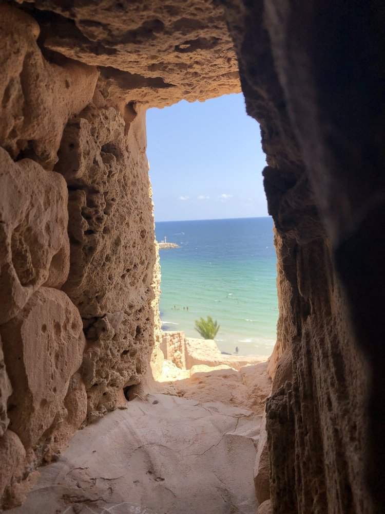 Photograph by Ekaterina