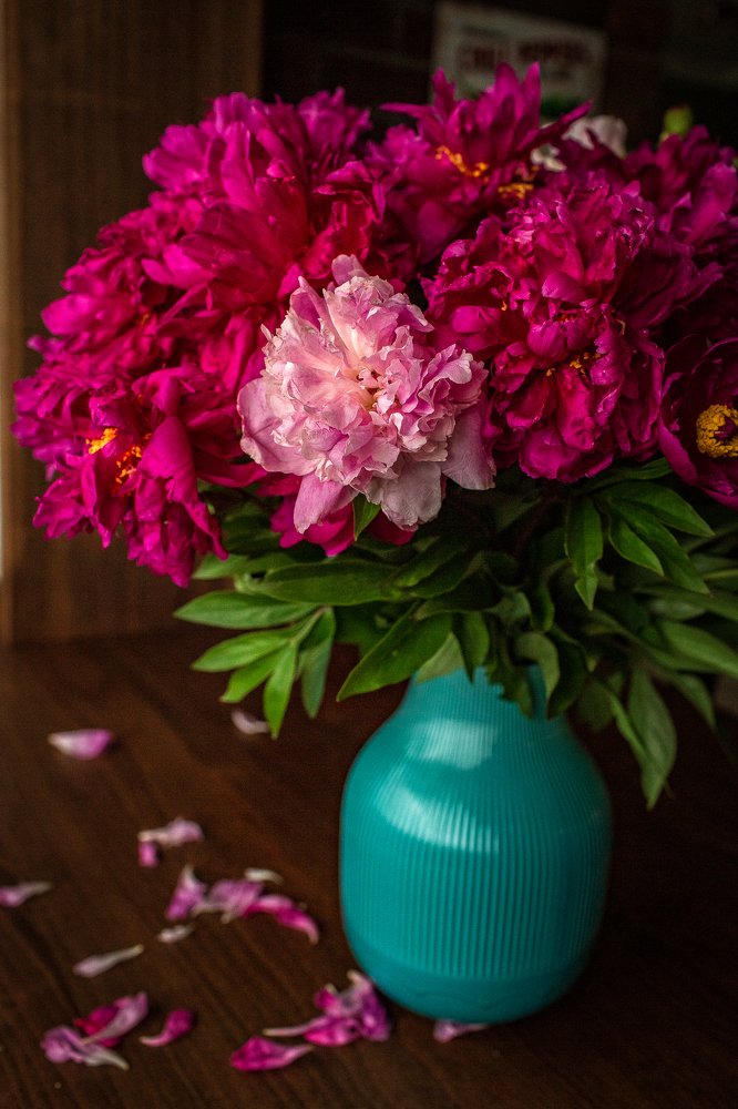 Photograph by Дайман Лия