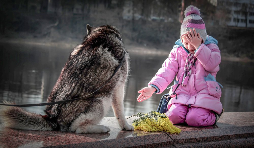 Дай лапу, друг: Я тоже стесняюсь