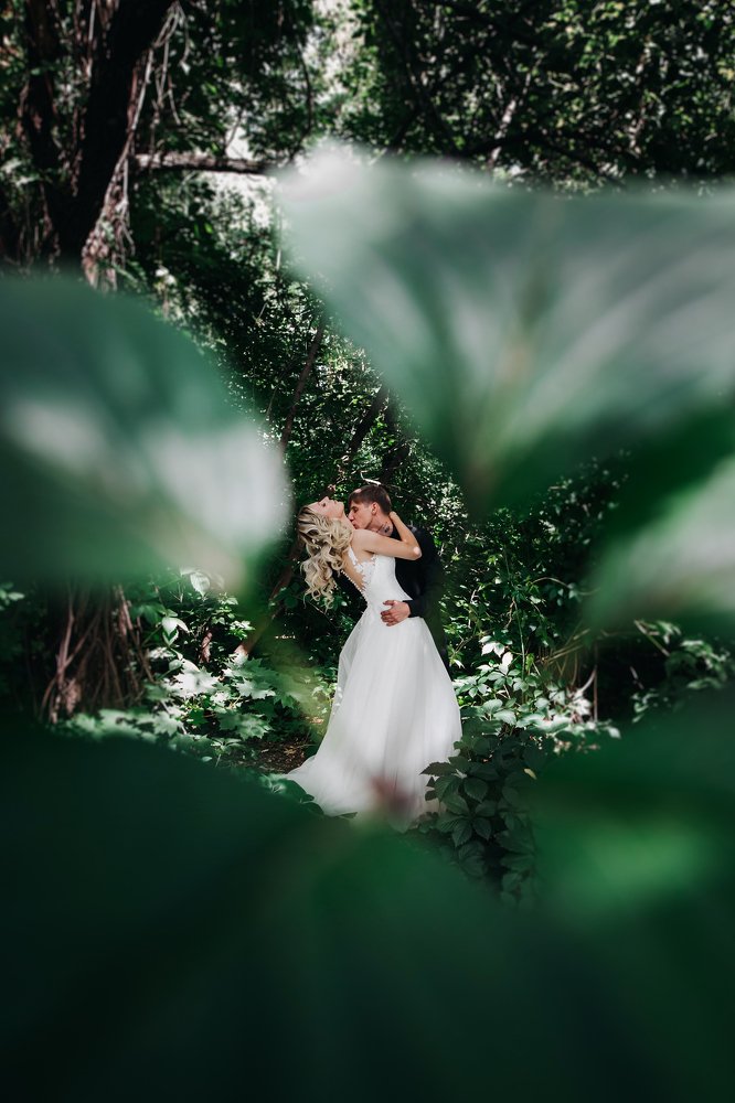 Photograph by Геннадий Климов